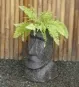 morepic-2